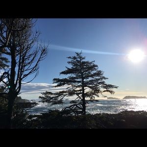 Meet your Posher, Zahra